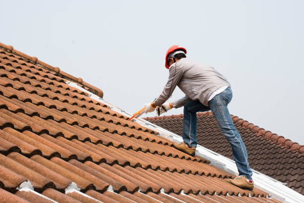 Best Roof Moss and Algae Removal  in Welch, WV